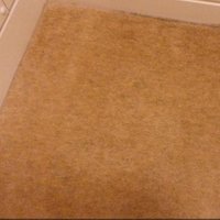 The same carpet with the green stain but it has been fully removed