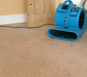 An air blower being used to dry a carpet